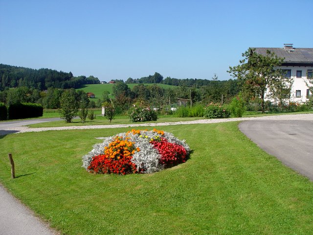 This image has been resized