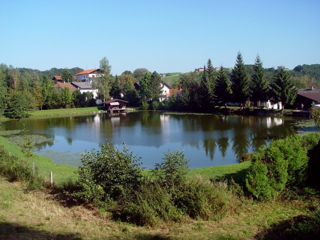 This image has been resized