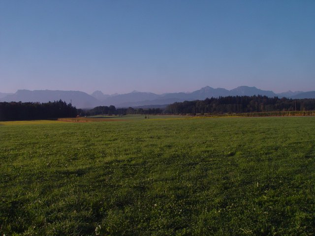 This image has been resized