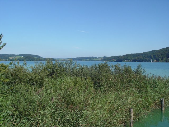 This image has been resized