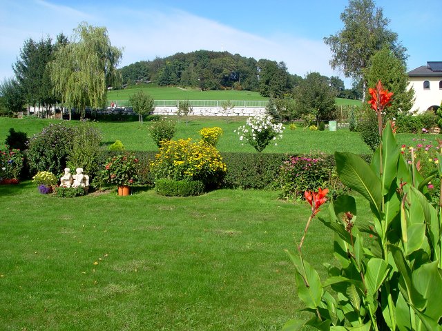 This image has been resized