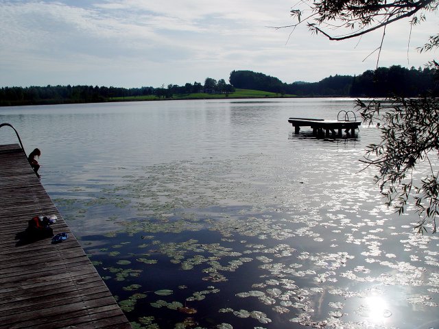 This image has been resized