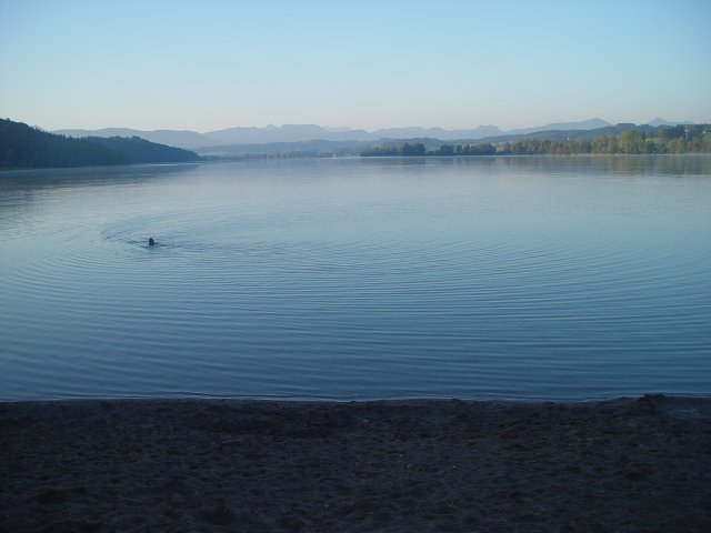 This image has been resized