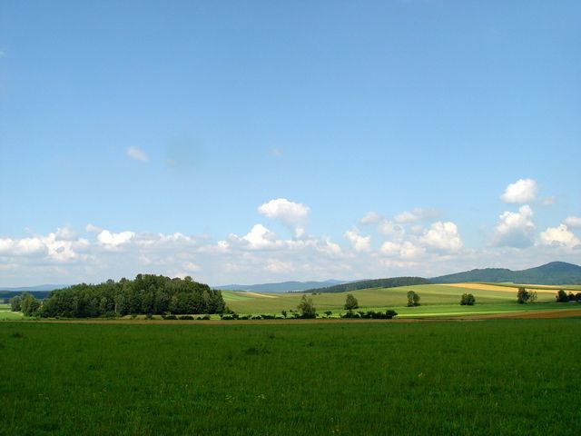 This image has been resized